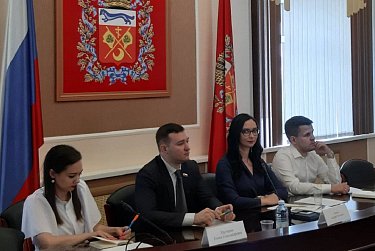 Инициативы молодых парламентариев